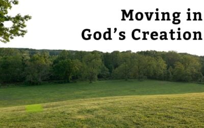 Moving in God’s Creation: Reflections from a Soul-Care Retreat